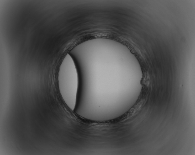X0000088150763200705141051