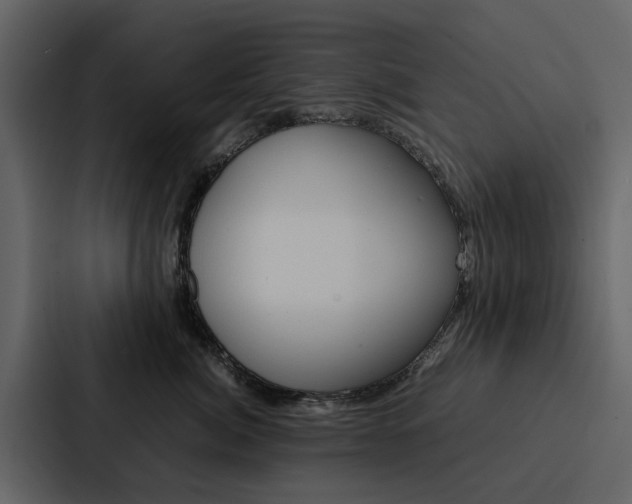 X0000088150764200705141051