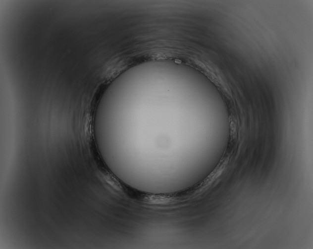 X0000088150766200705141051