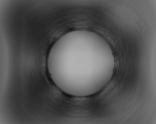 X0000088150767200705141051