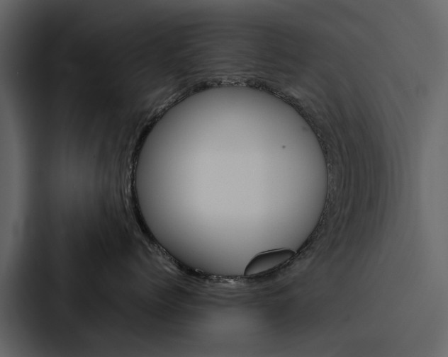 X0000088150768200705141051