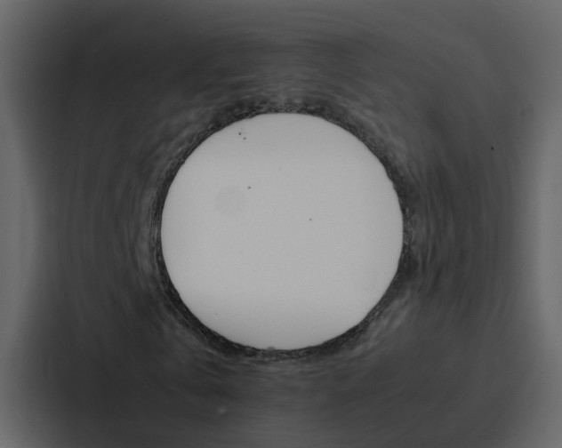 X0000088150769200705141051