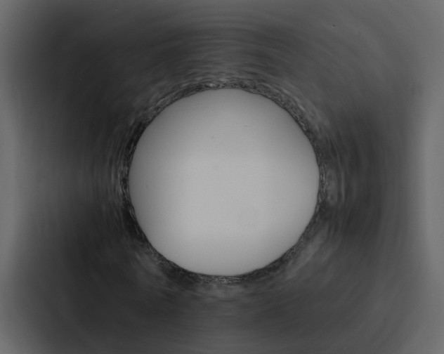 X0000088150770200705141051