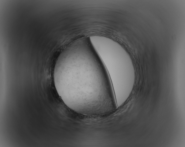 X0000088150771200705141051