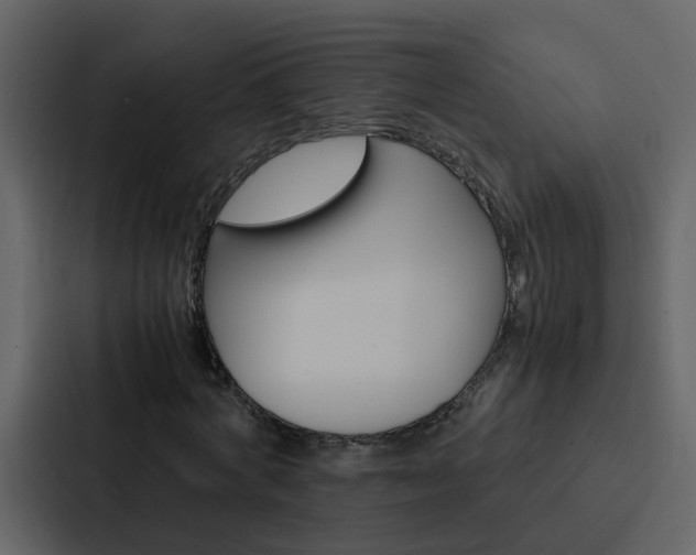 X0000088150772200705141051