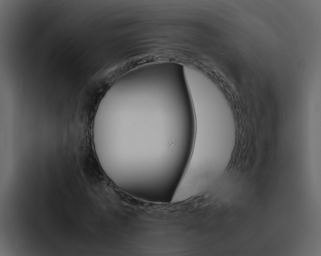 X0000088150773200705141051