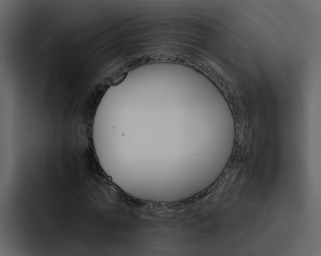 X0000088150774200705141051