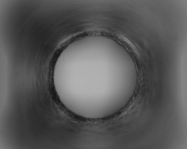 X0000088150775200705141051