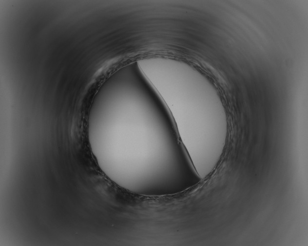 X0000088150776200705141051