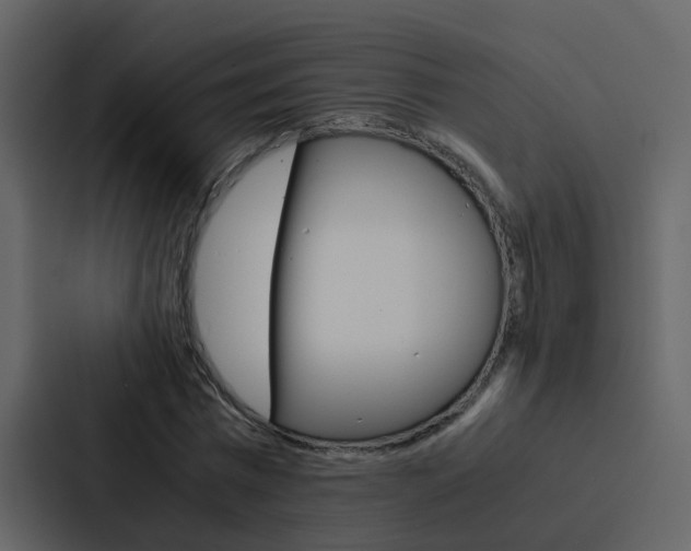 X0000088150777200705141051