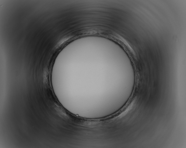 X0000088150778200705141051