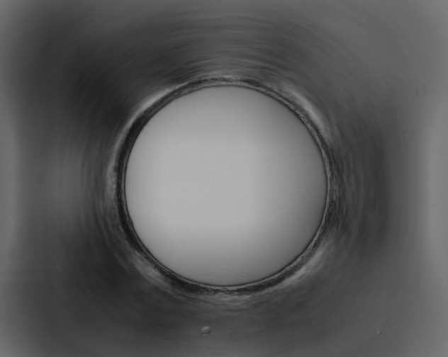 X0000088150779200705141051