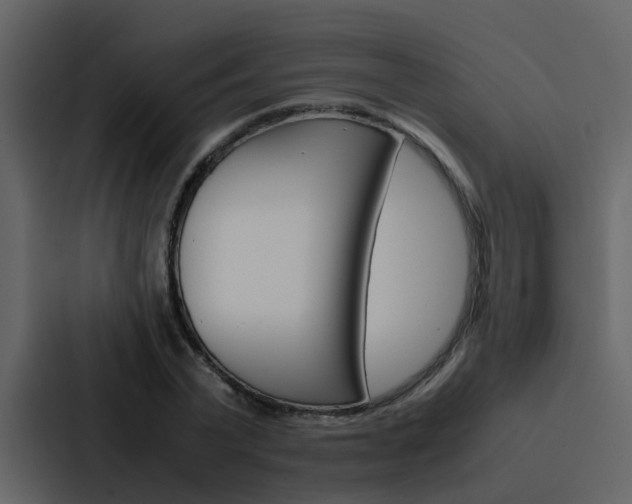 X0000088150783200705141050
