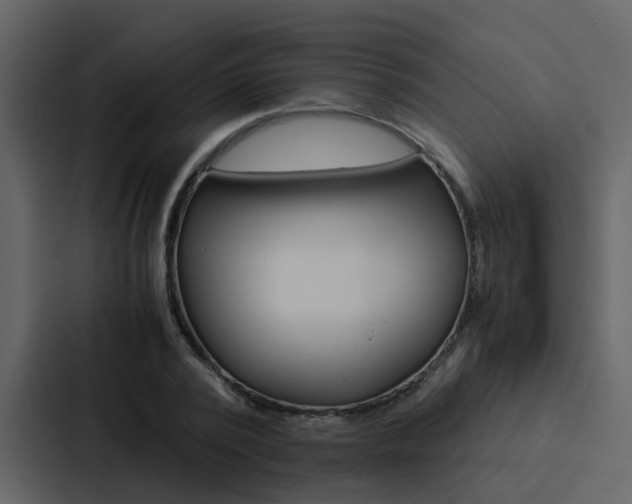 X0000088150784200705141050