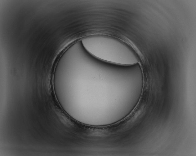 X0000088150786200705141050