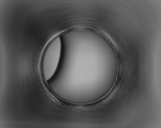 X0000088150787200705141050