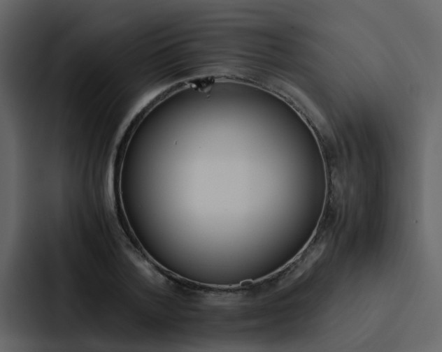 X0000088150788200705141050