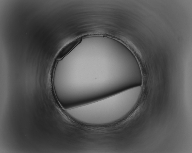 X0000088150789200705141050