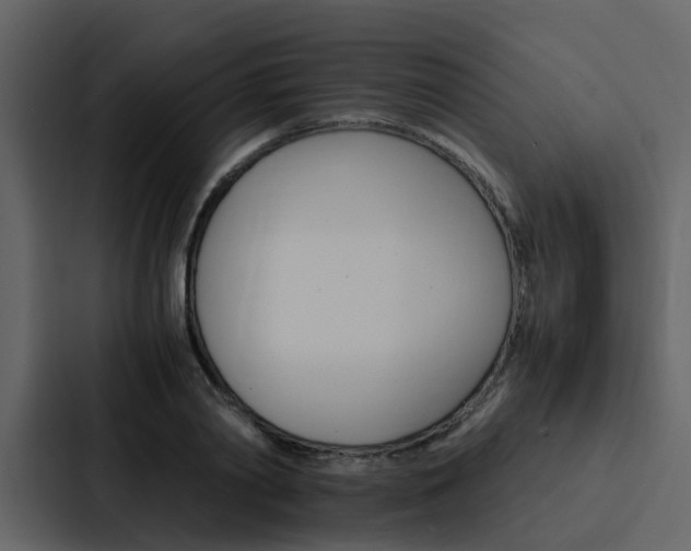 X0000088150790200705141050