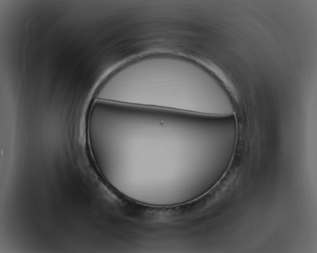 X0000088150791200705141050