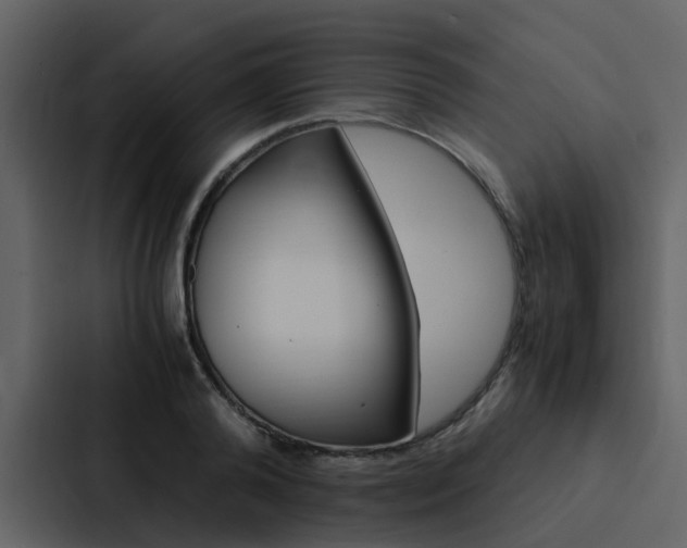 X0000088150792200705141050