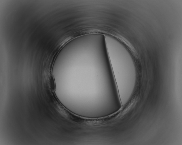 X0000088150793200705141050