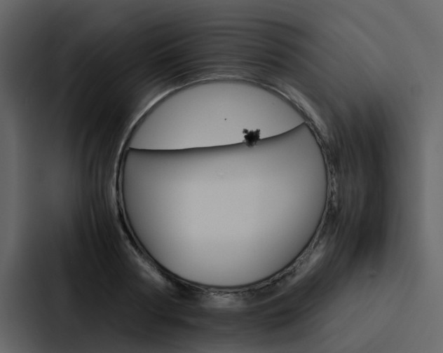 X0000088150794200705141050