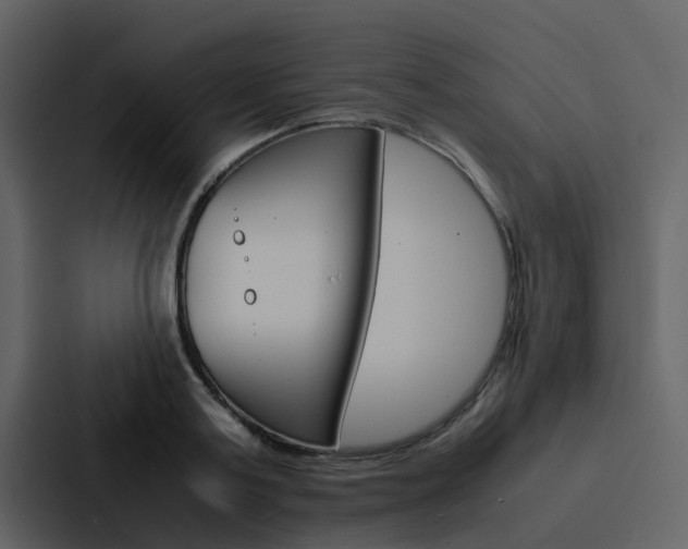 X0000088150795200705141050