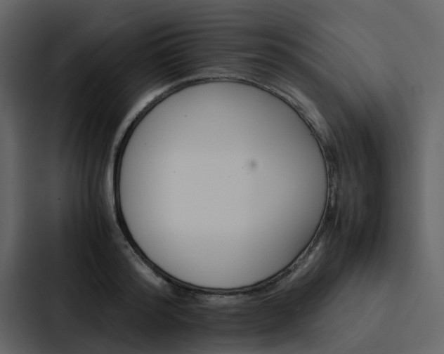 X0000088150796200705141050