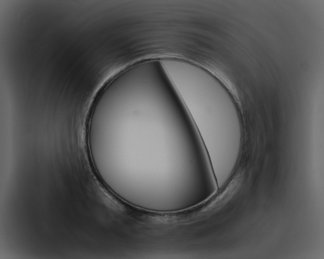 X0000088150797200705141050