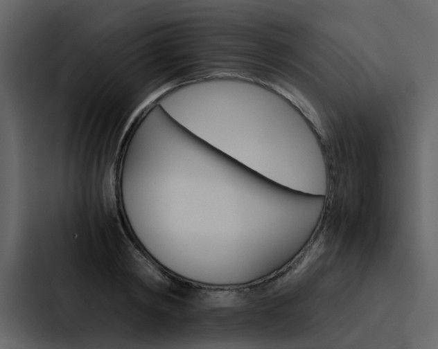 X0000088150798200705141050