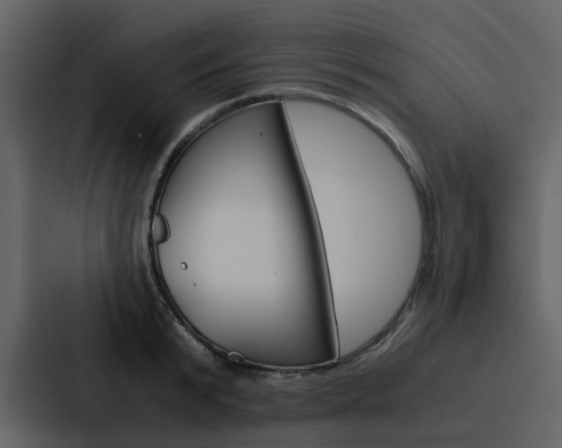 X0000088150799200705141050