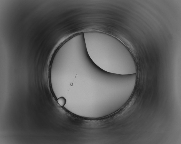 X0000088150800200705141050