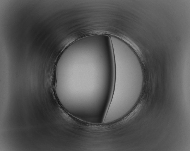 X0000088150801200705141050