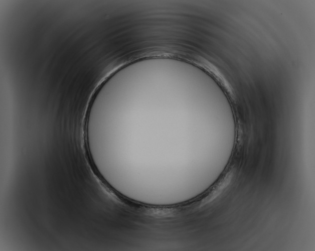X0000088150802200705141050