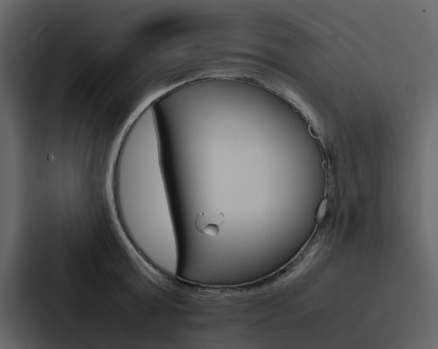 X0000088150803200705141050