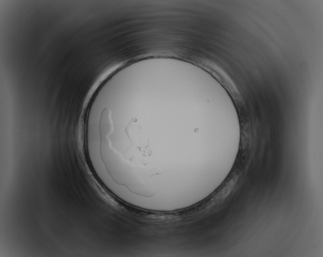 X0000088150804200705141050