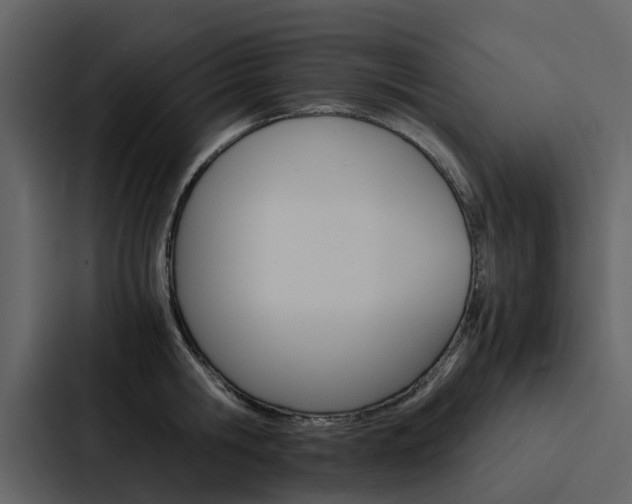 X0000088150806200705141050