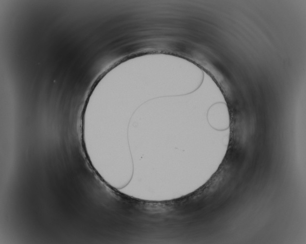 X0000088150807200705141050