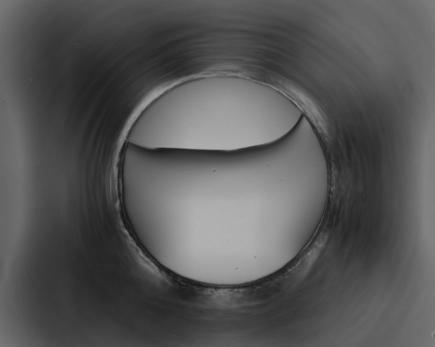 X0000088150808200705141050