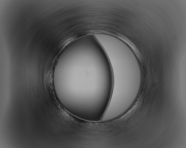 X0000088150809200705141050