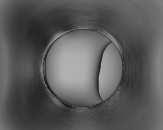 X0000088150811200705141050