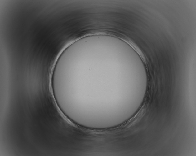 X0000088150813200705141050