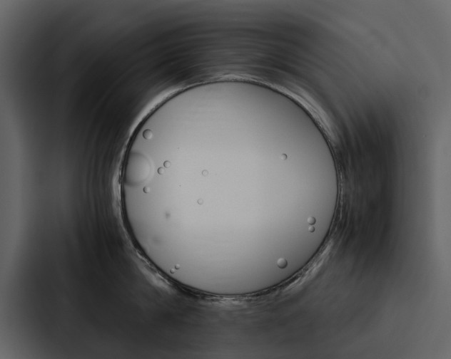 X0000088150814200705141050