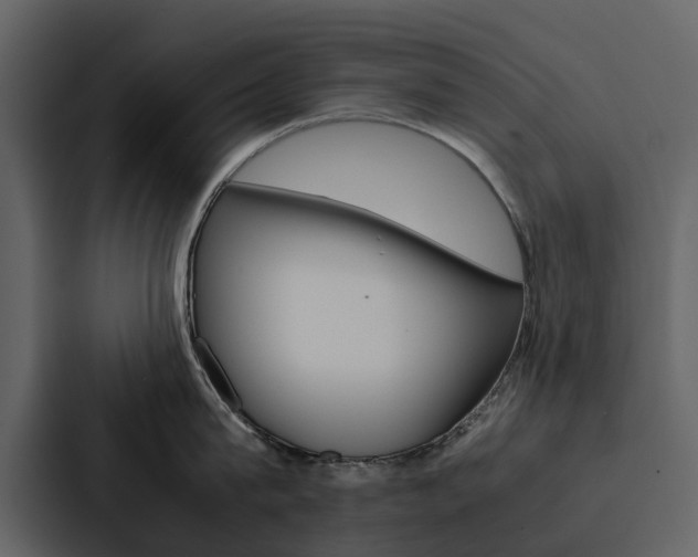 X0000088150815200705141050
