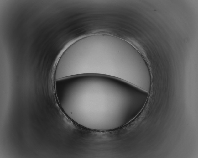X0000088150816200705141050