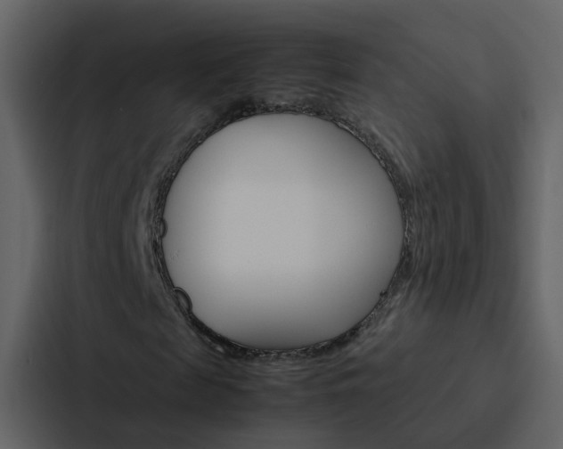 X0000088150817200705141049