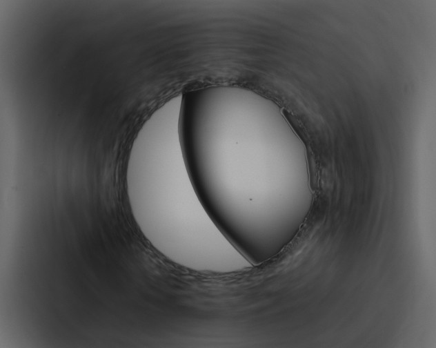 X0000088150818200705141049