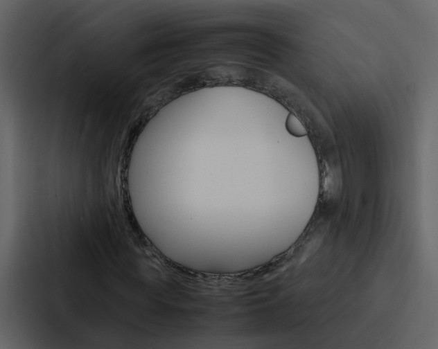 X0000088150819200705141049