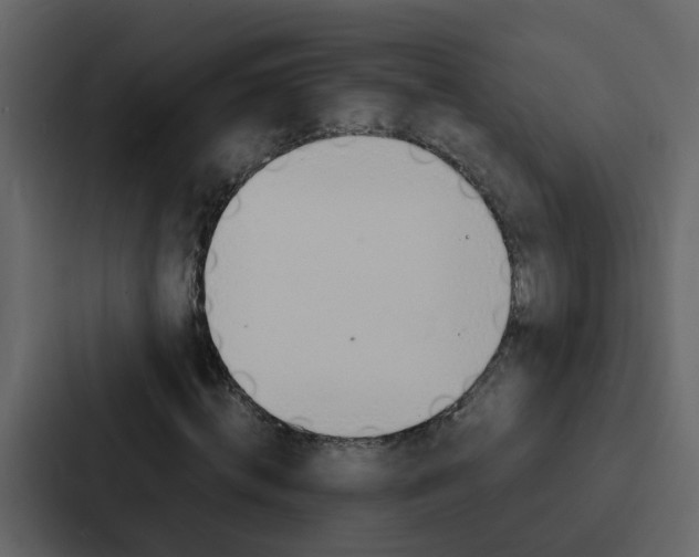 X0000088150820200705141049